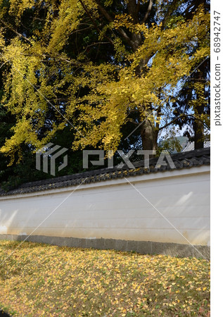 Daigoji在秋天 68942747