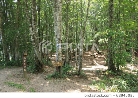 Neko no Mori Iwatake Mountain Resort Hakuba Village, Nagano Prefecture 68943083