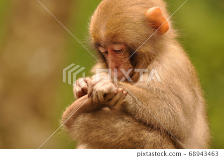 Presbyopia Presbyopia 68943463