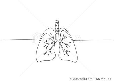 One continuous line drawing of anatomical human lungs organ 68945255