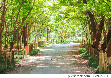 Heirinji夏季/地區森林 68945661