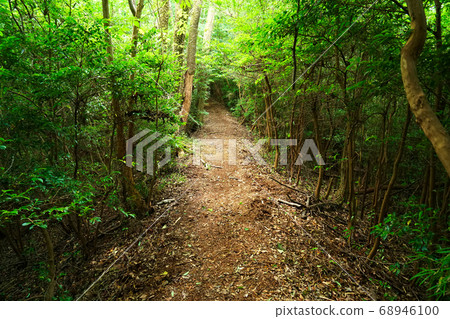 昏暗的遠足徑 昏暗的遠足徑 68946100