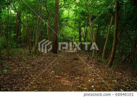 昏暗的遠足徑 68946101