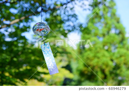 Furin in the garden Furin in the garden 68946279