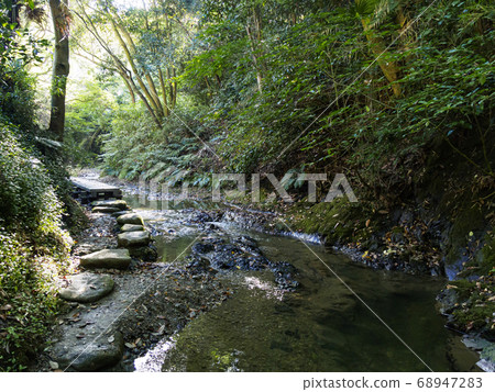 A clear stream in the Miura Peninsula Summer in the Maedagawa Valley 68947283