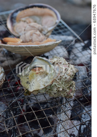 Camp Sazae 68947676