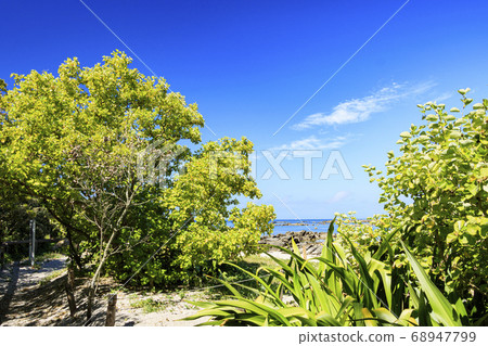 A summer resort in Shonan Sashima 68947799