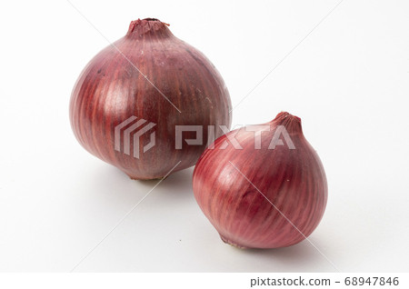 紅蔥頭 68947846