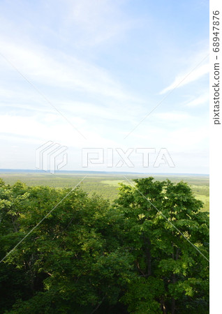 Kushiro Marsh (Kushiro Marsh Observatory / Hokuto, Kushiro City, Hokkaido) 68947876