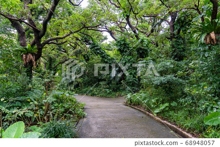 沖繩首里城城堡公園和巴里肯 68948057