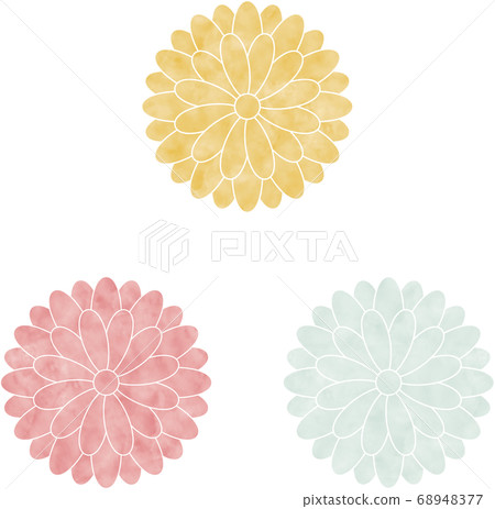Watercolor color chrysanthemum illustration 68948377