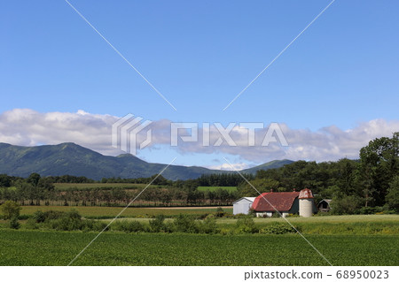 Scenery with farms in the Tokachi region of Hokkaido Scenery with farms in the Tokachi region of Hokkaido 68950023
