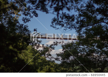 星空,星野花園的吊橋。穿過樹林 星空,星野花園的吊橋。穿過樹林 68950445