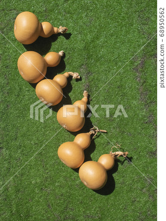 6 gourds 1 68950562