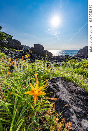Hamakanzo on the Jogasaki coast, Ito city, Shizuoka prefecture Hamakanzo on the Jogasaki coast, Ito city, Shizuoka prefecture 68950882