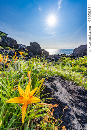 Hamakanzo on the Jogasaki coast, Ito city, Shizuoka prefecture 68950884