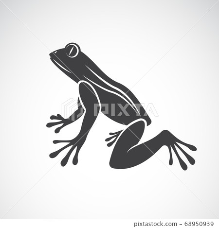 Vector image of a frog design. Animals. Vector image of a frog design. Animals. 68950939
