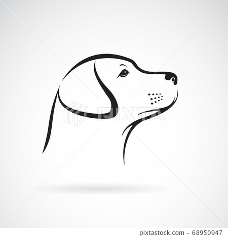 Vector image of an dog labrador. Animals. Vector image of an dog labrador. Animals. 68950947