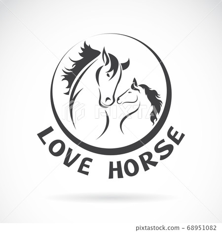 Vector image of a horse head design. Animals. Vector image of a horse head design. Animals. 68951082