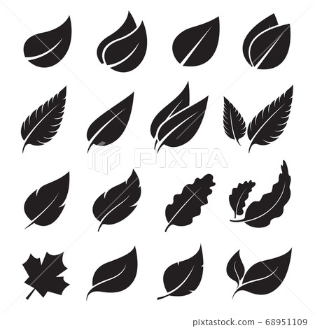 Vector leaves icon set on white background. 68951109