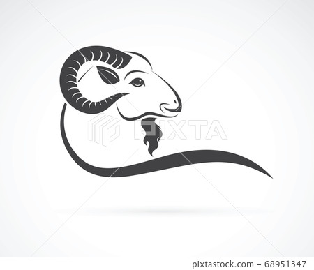 Vector image of an goat head design. Animals. Vector image of an goat head design. Animals. 68951347