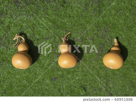 3 gourds 2 68951886