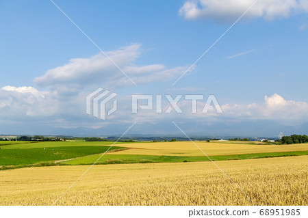 Furano hills with blue sky and white clouds 68951985
