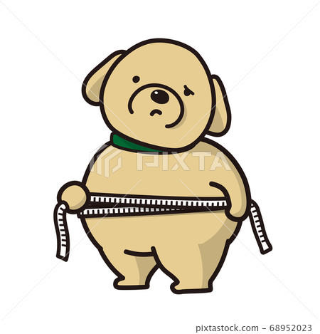 胖狗的腰圍已量度,寵物健康管理 胖狗的腰圍已量度,寵物健康管理 68952023