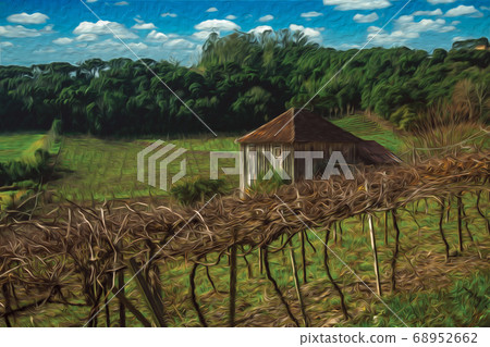 Trunks and vine branches with old farmhouse 68952662