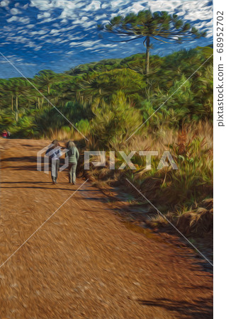 People hiking on dirt pathway through forest 68952702