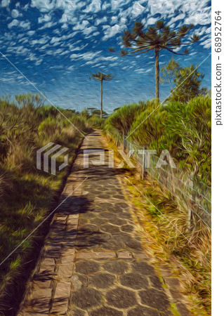 Pathway in the Aparados da Serra National Park Pathway in the Aparados da Serra National Park 68952764