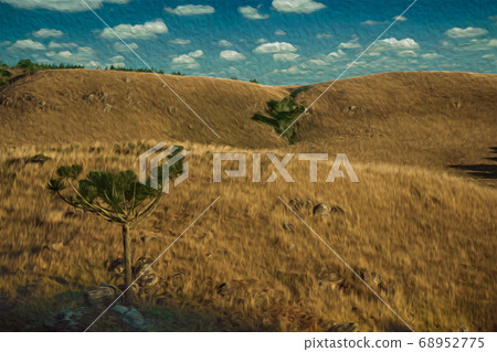 Landscape of rural lowlands called Pampas Landscape of rural lowlands called Pampas 68952775