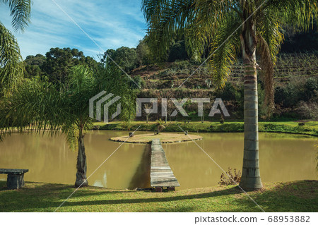 Walkway going to a small island in garden pond Walkway going to a small island in garden pond 68953882