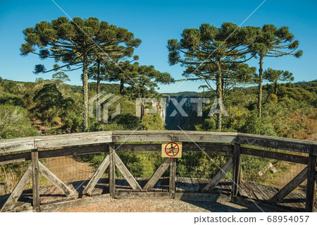 Dirt pathway and belvedere at Itaimbezinho Canyon 68954057