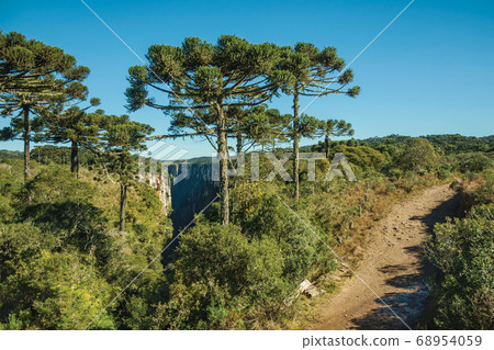 Itaimbezinho Canyon with rocky cliffs and forest Itaimbezinho Canyon with rocky cliffs and forest 68954059