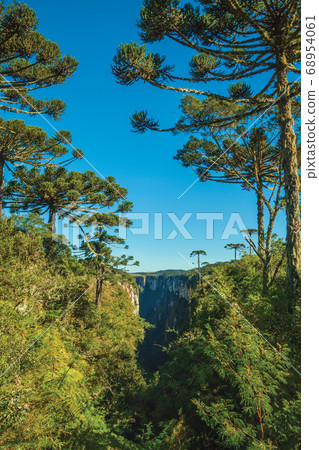 Itaimbezinho Canyon with rocky cliffs and forest 68954061