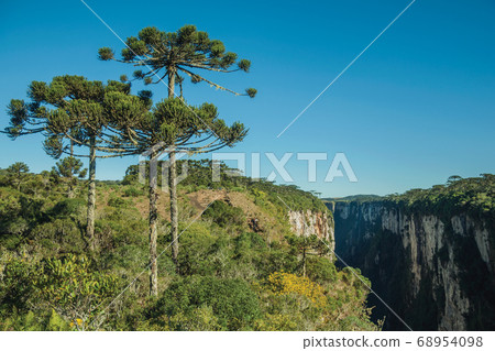 Itaimbezinho Canyon with rocky cliffs and forest 68954098
