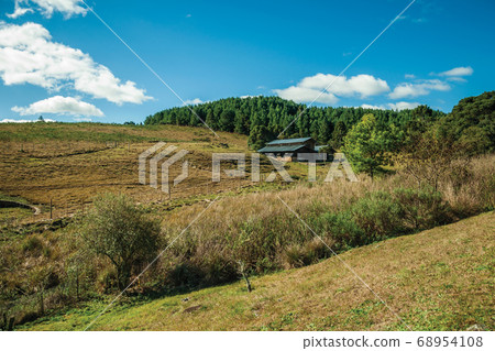 House on hill with dry bushes and green grove 68954108