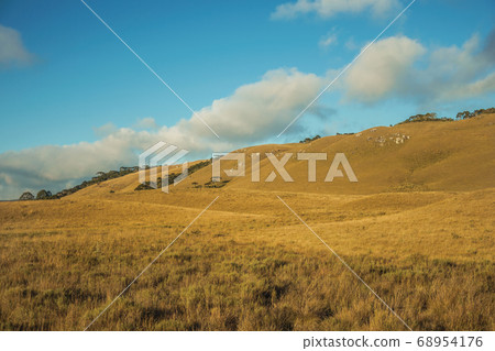 Landscape of rural lowlands called Pampas Landscape of rural lowlands called Pampas 68954176