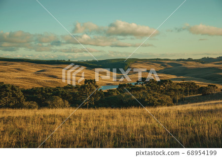 Landscape of rural lowlands called Pampas 68954199