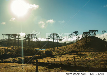 Rural lowlands called Pampas at sunset 68954201