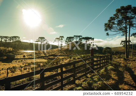 Rural lowlands called Pampas with wooden fence Rural lowlands called Pampas with wooden fence 68954232