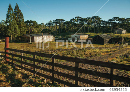 Shabby shacks from a ranch with wooden fence Shabby shacks from a ranch with wooden fence 68954233