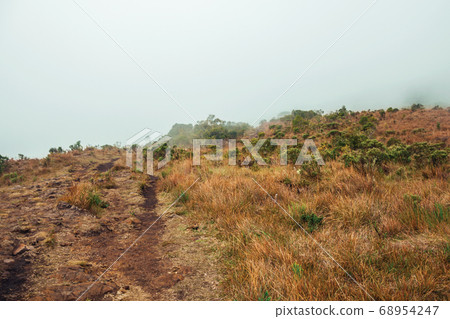 Edge of cliff covered by dry bushes and mist 68954247