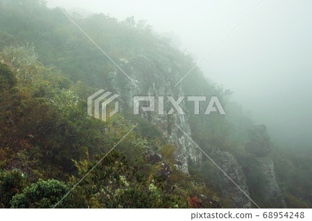 Steep rocky cliff with bushes and mist 68954248