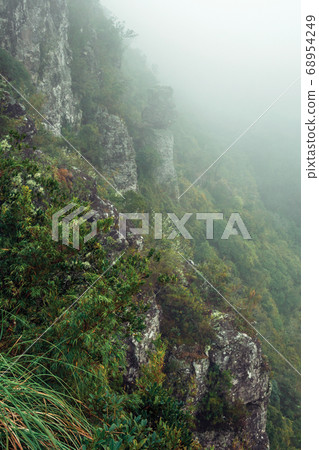 Steep rocky cliff with bushes and mist Steep rocky cliff with bushes and mist 68954249