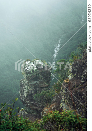 Steep rocky cliff with bushes and mist 68954250