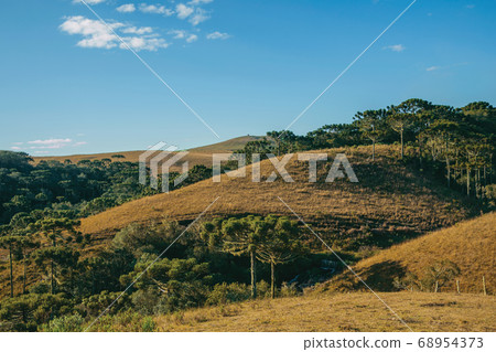 Landscape of rural lowlands called Pampas 68954373