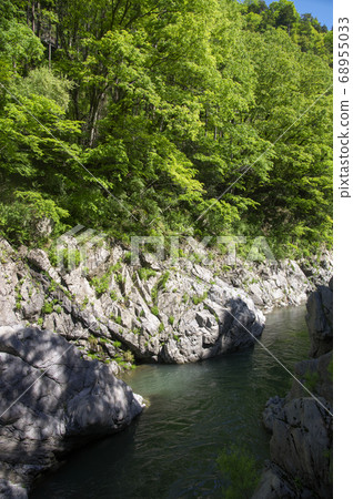 新鮮的綠色Hatonosu山谷，多摩河的溪流，山谷底部露出岩石 68955033