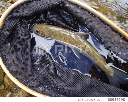 Rock fish above the clouds Rock fish above the clouds 68955698